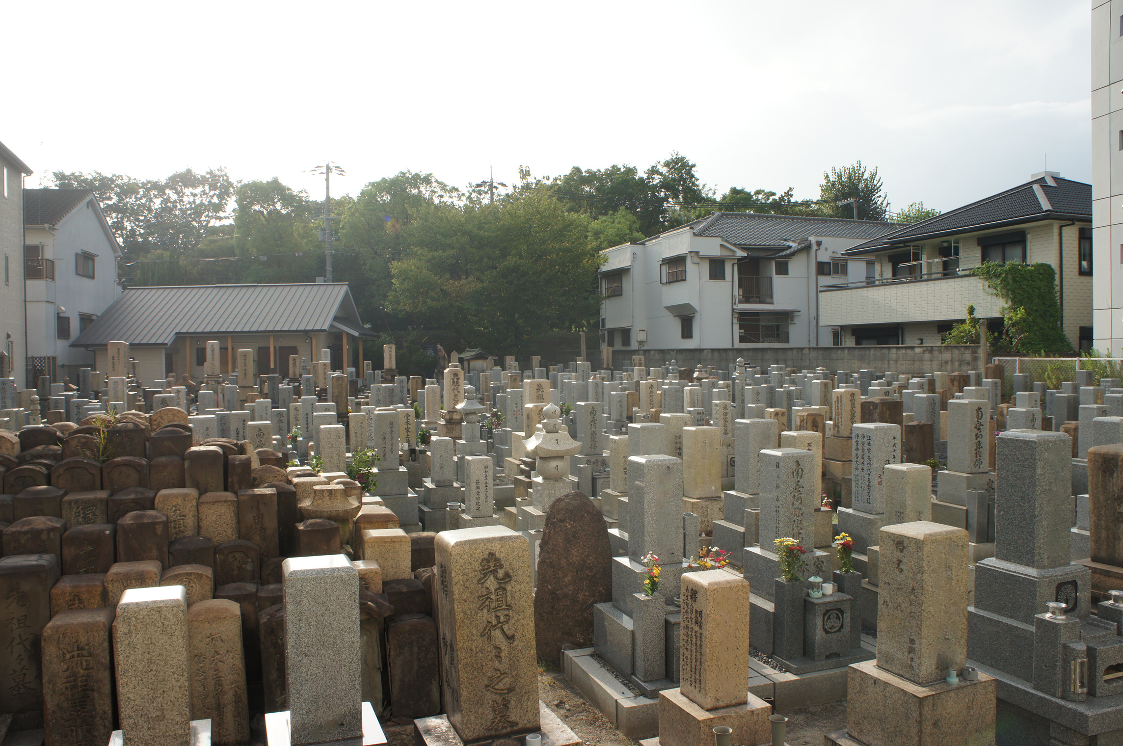 杭瀬墓地｜尼崎市の写真